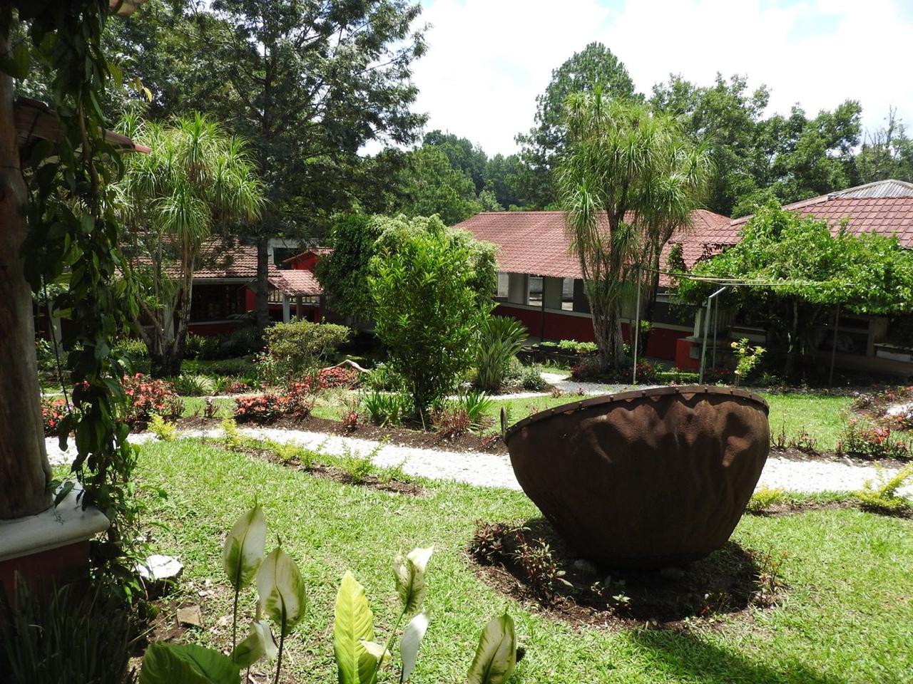 Sendero en el jardin